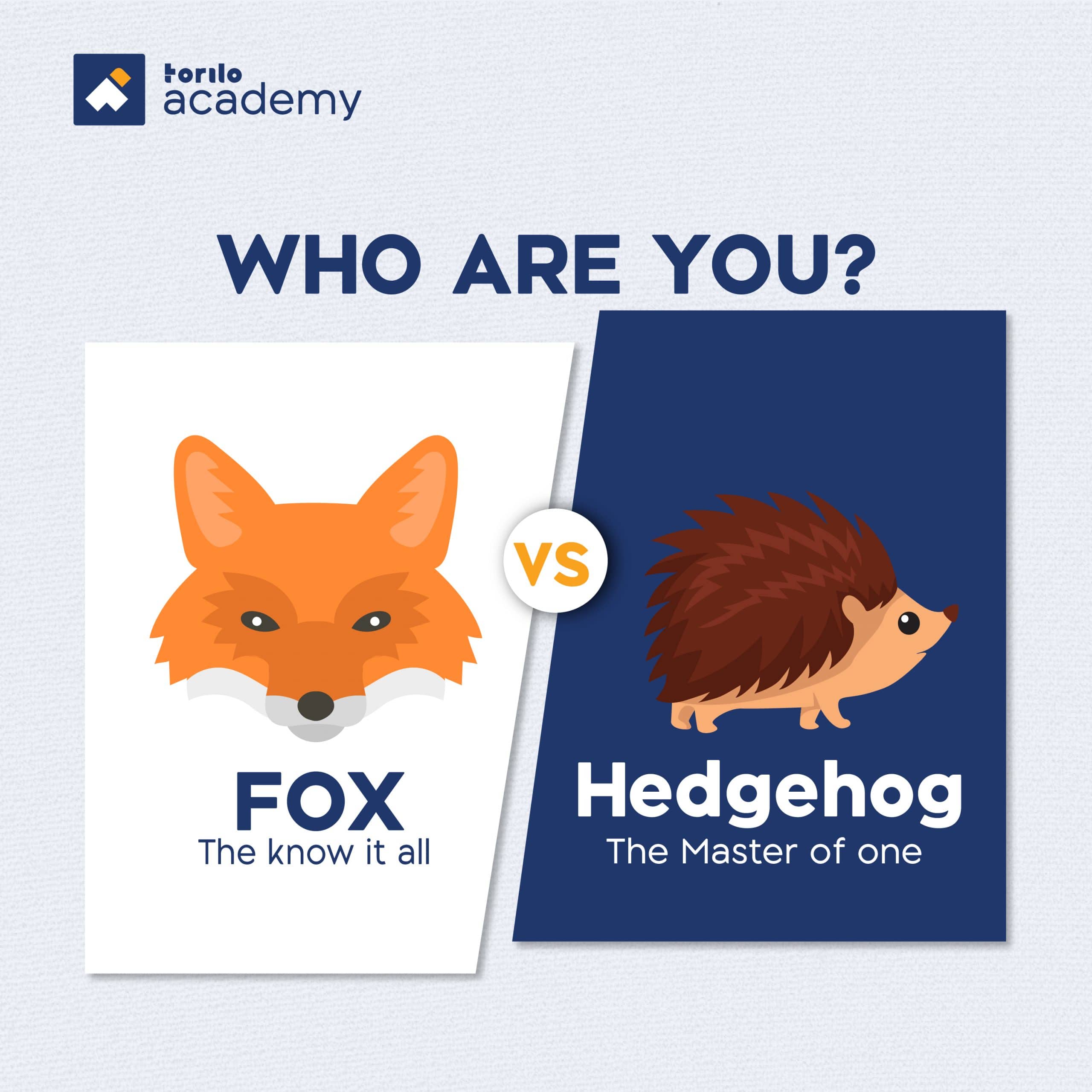 hedgehog and fox